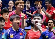 开云体育在线-包含瑞典队逆转法国队，梁靖崑扛起全队的词条