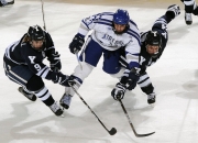 开云足球直播-广东队防守锁死奇才，塔图姆压制级发挥