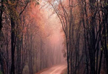 开云下载-中超联赛收官战：广州恒大与上海上港上演激烈对决，谁能笑到最后？的简单介绍