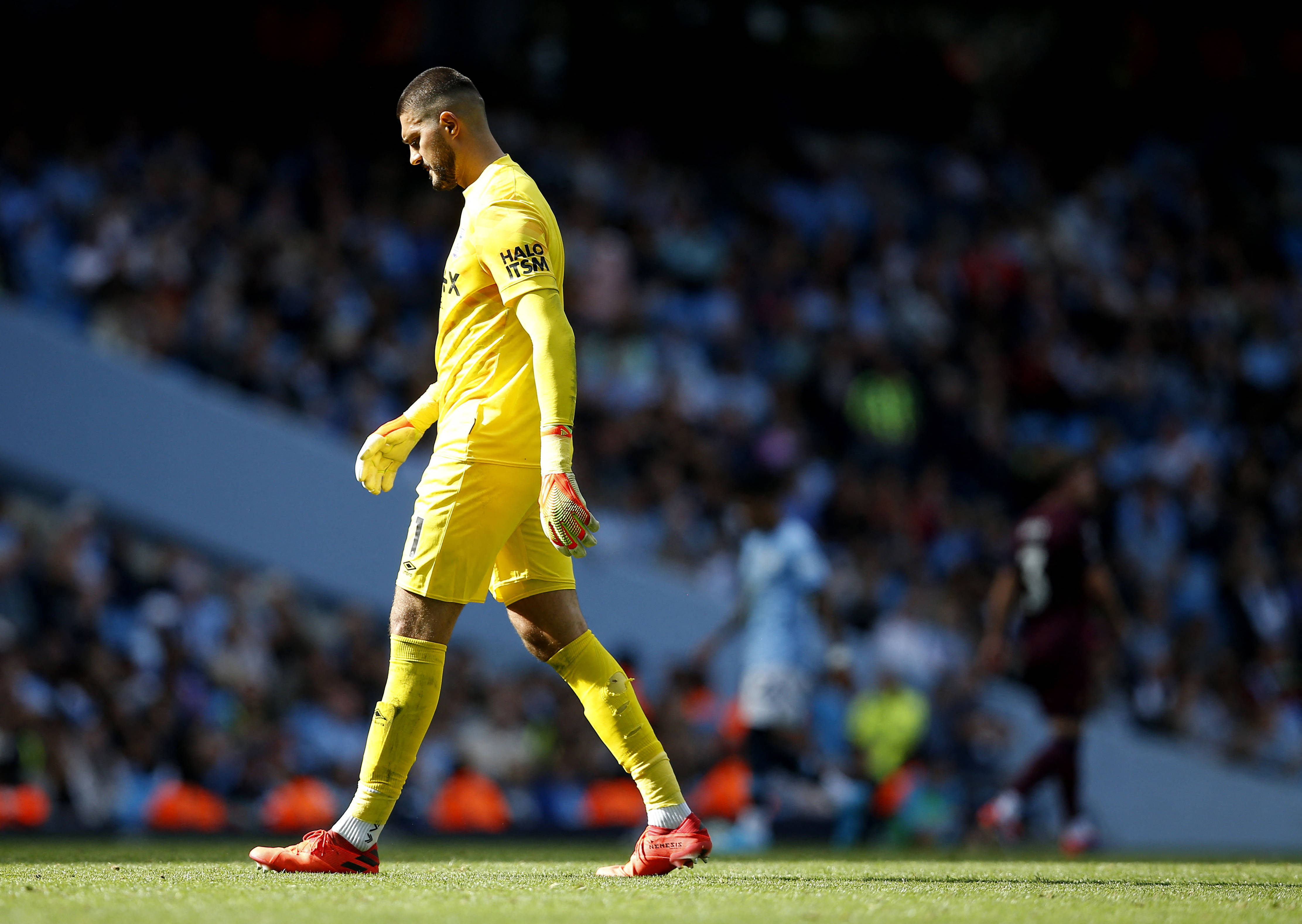 关于芬兰队战胜科索沃队，表现抢眼的信息