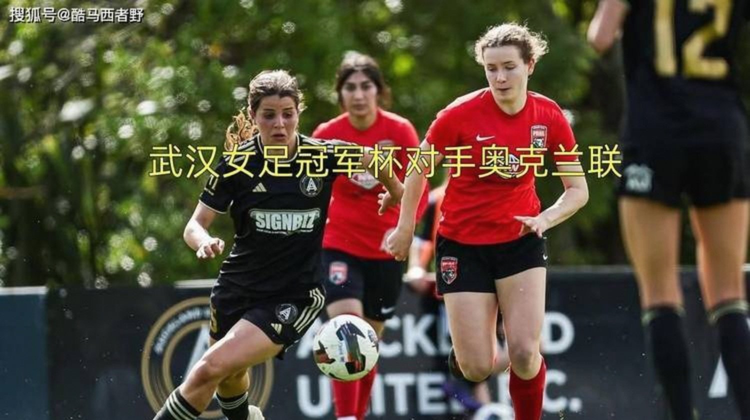 大洋洲联赛新晋球队表现显著