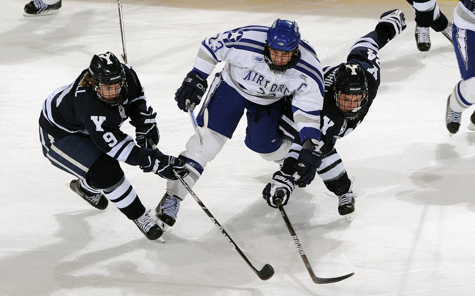 广东队防守锁死奇才，塔图姆压制级发挥